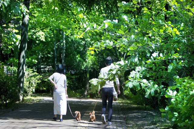 これより資格をとろうと受験学習をスタートする人達